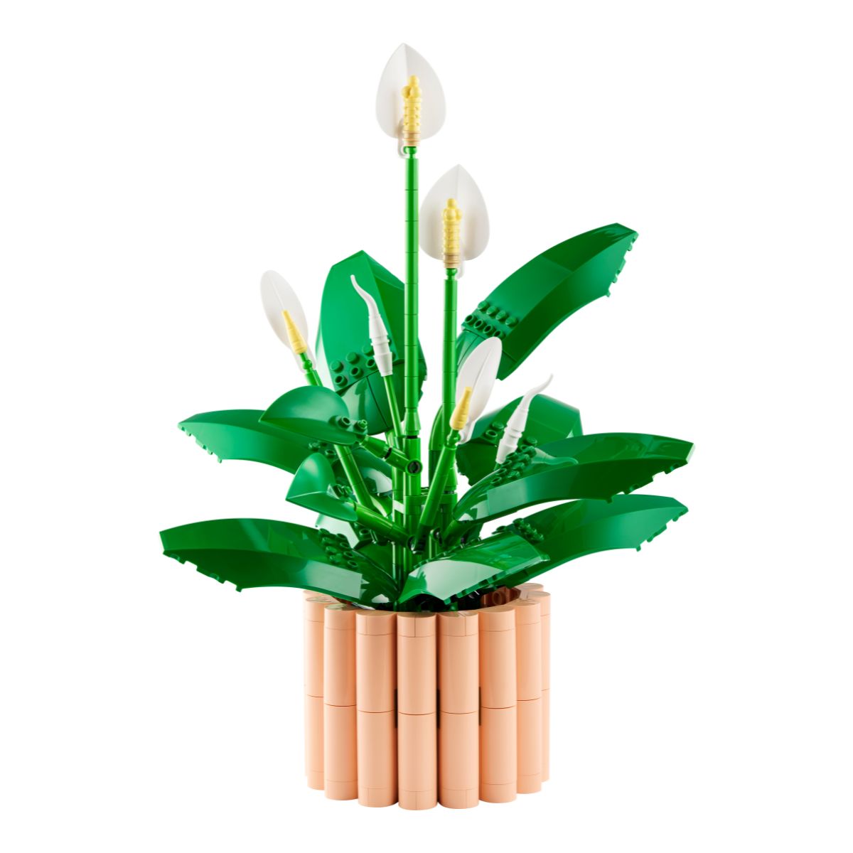 Đồ Chơi Lắp Ráp Hoa Lan Ý LEGO BOTANICALS 11504