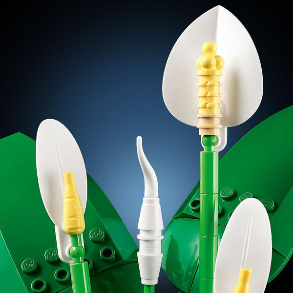 do-choi-lap-rap-hoa-lan-y-lego-botanicals-11504-05