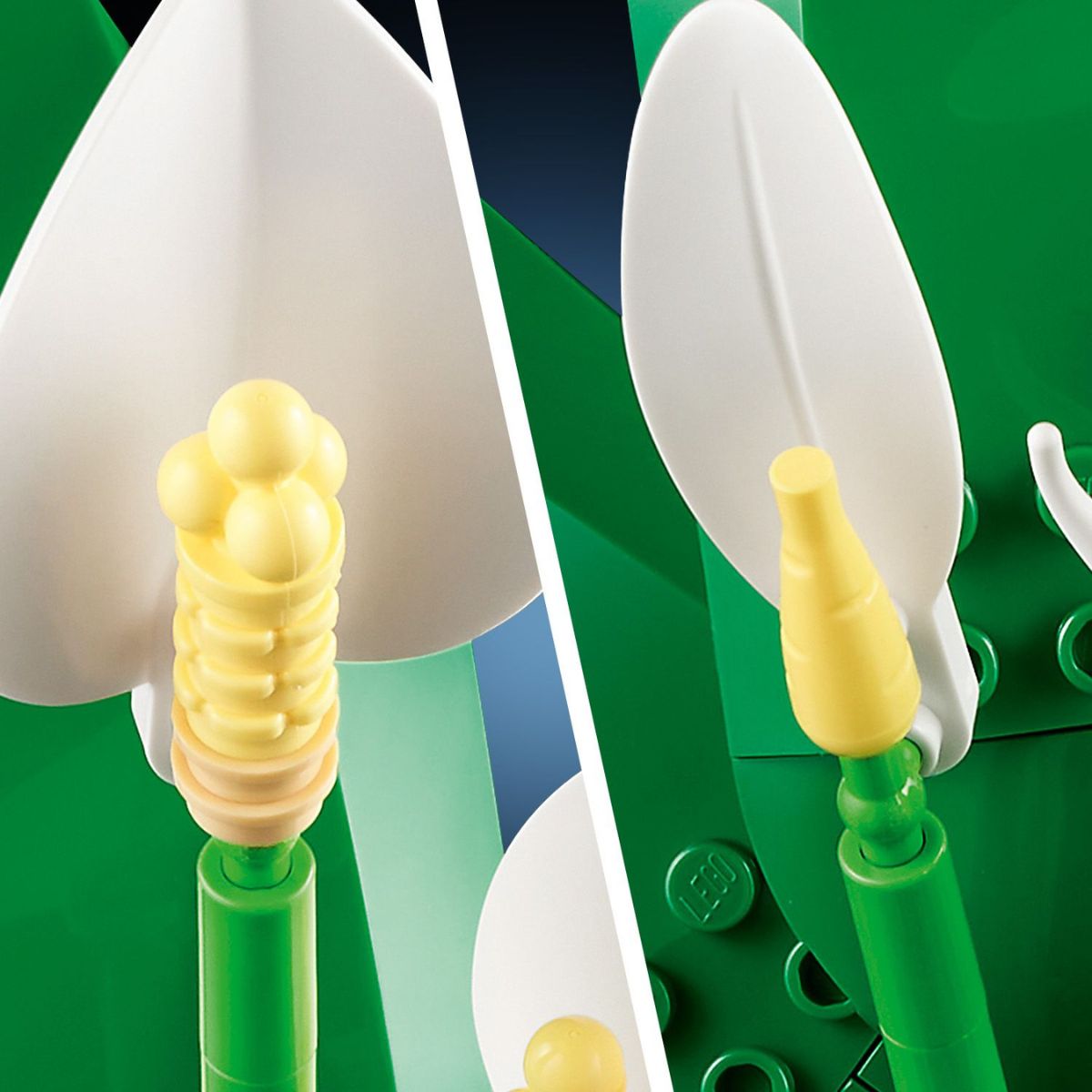 Đồ Chơi Lắp Ráp Hoa Lan Ý LEGO BOTANICALS 11504