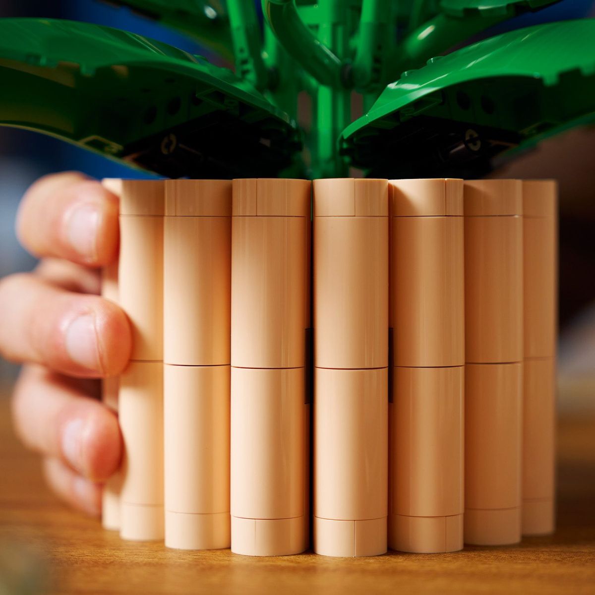 Đồ Chơi Lắp Ráp Hoa Lan Ý LEGO BOTANICALS 11504