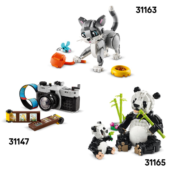 do-choi-lap-rap-may-danh-chu-va-hoa-lego-creator-31169-012