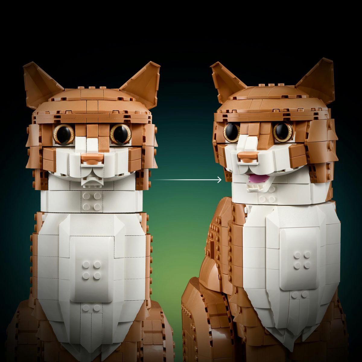 do-choi-lap-rap-rai-ca-bien-tren-mat-nuoc-lego-ideas-21376-08