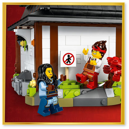 do-choi-lap-rap-tho-ren-bon-vu-khi-ky-niem-15-nam-lego-ninjago-71858-08