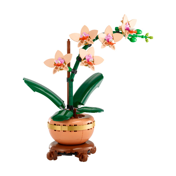 do-choi-lap-rap-xe-hoa-lan-nho-lego-botanicals-10343-03
