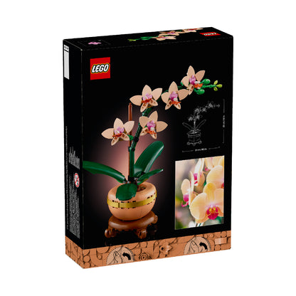 do-choi-lap-rap-xe-hoa-lan-nho-lego-botanicals-10343-011