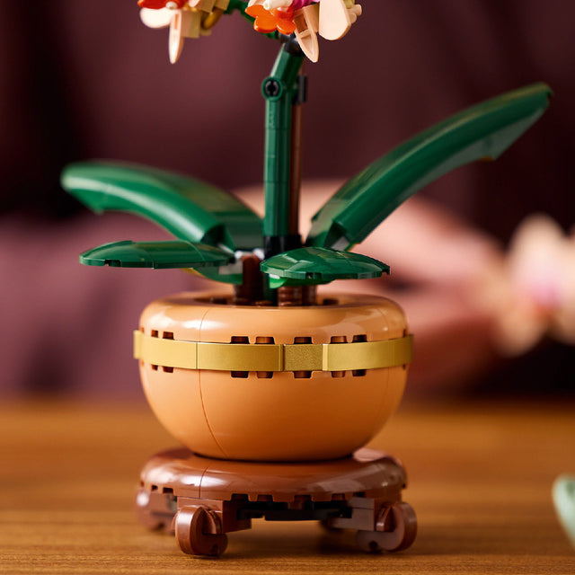 do-choi-lap-rap-xe-hoa-lan-nho-lego-botanicals-10343-04