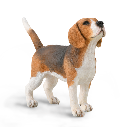do-choi-mo-hinh-dong-vat-collecta-beagle-poodle-golden-retriever-collecta-84324-01