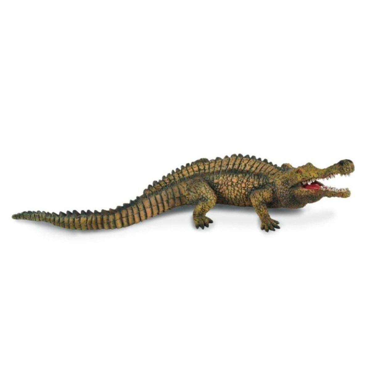 do-choi-mo-hinh-dong-vat-collecta-ca-sau-tien-su-sarcosuchus-88334-03