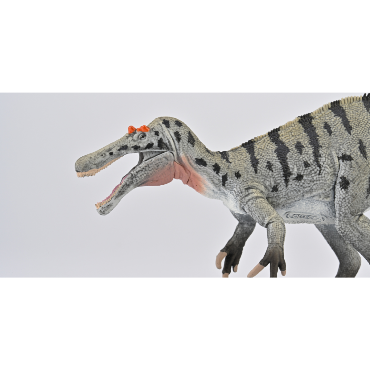 Ceratosuchops Dinosaur Figure COLLECTA 88972