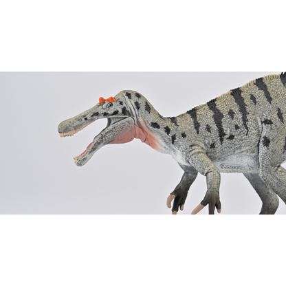 do-choi-mo-hinh-dong-vat-khung-long-ceratosuchops-collecta-88972-04