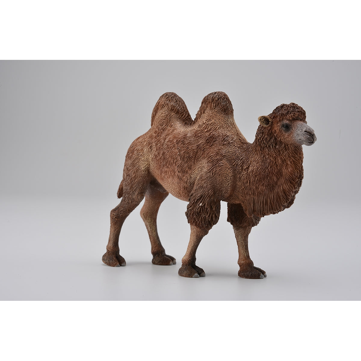 Bactrian Camel Animal Figure COLLECTA 88807