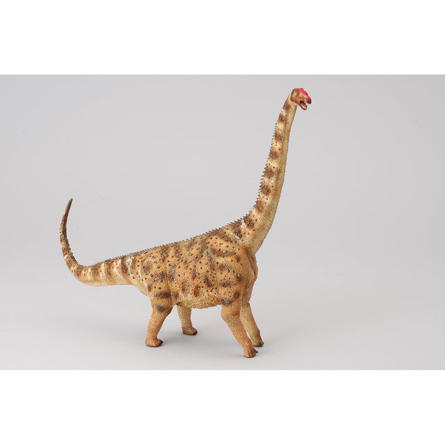 do-choi-mo-hinh-dong-vat-than-lan-argentinosaurus-collecta-88547-03
