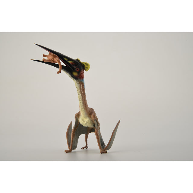 do-choi-mo-hinh-dong-vat-than-lan-bay-quetzalcoatlus-collecta-88655-04