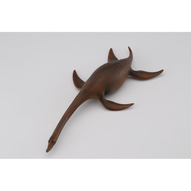 do-choi-mo-hinh-dong-vat-than-lan-bien-attenborosaurus-collecta-88489-02