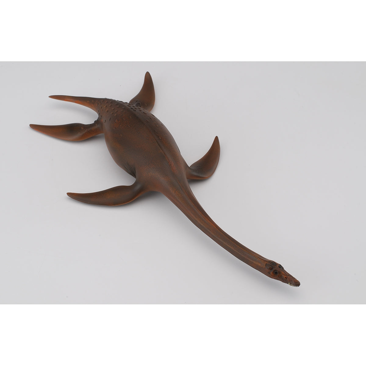 do-choi-mo-hinh-dong-vat-than-lan-bien-attenborosaurus-collecta-88489-03