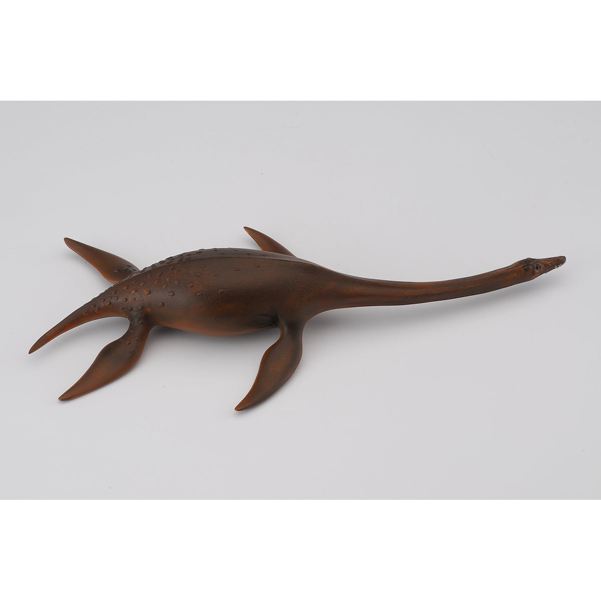 do-choi-mo-hinh-dong-vat-than-lan-bien-attenborosaurus-collecta-88489-04