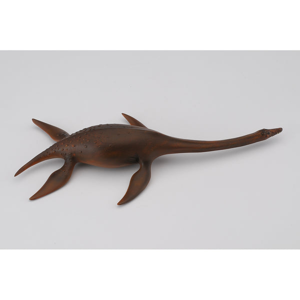 do-choi-mo-hinh-dong-vat-than-lan-bien-attenborosaurus-collecta-88489-04