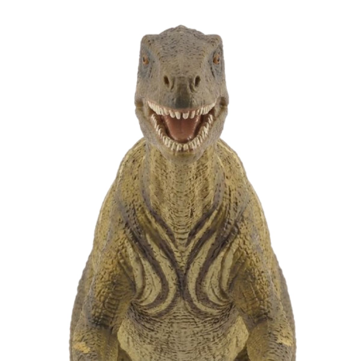 Đồ Chơi Mô Hình Động Vật CollectA Thằn Lằn Dẹt Plateosaurus COLLECTA 88513
