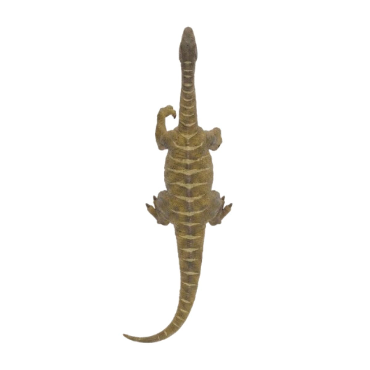 Đồ Chơi Mô Hình Động Vật CollectA Thằn Lằn Dẹt Plateosaurus COLLECTA 88513