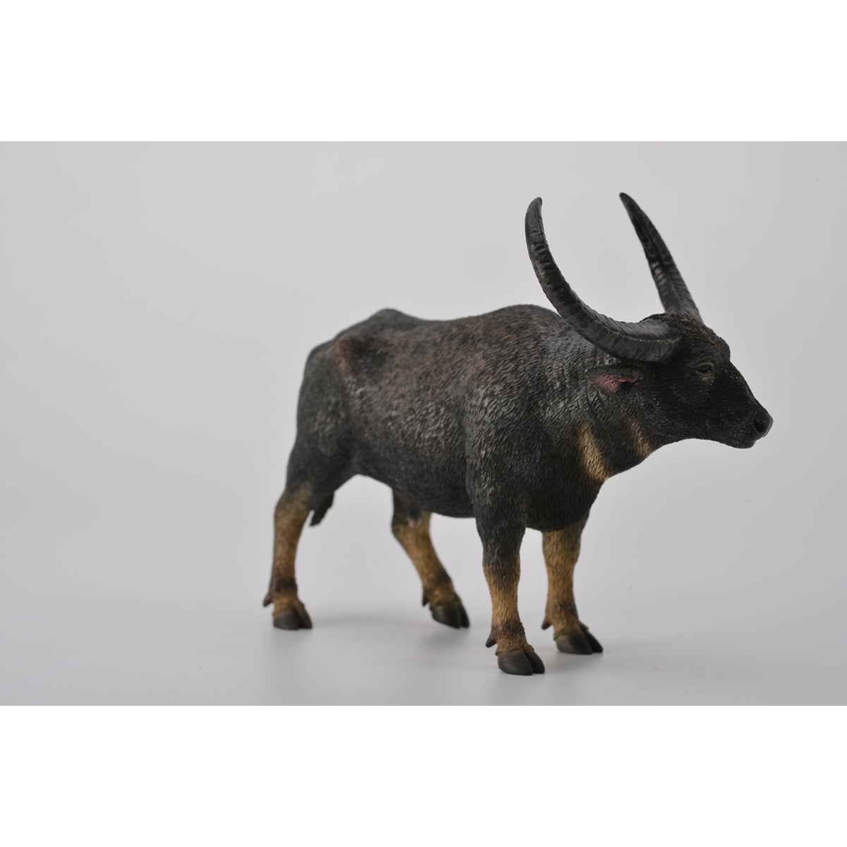 Wild Water Buffalo Animal Figure COLLECTA 88657