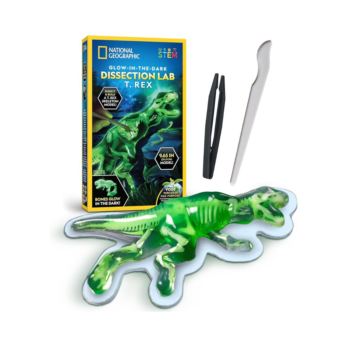 do-choi-nat-geo-bo-giai-phau-t-rex-phat-sang-trong-dem-steam-rtngtrexlab-02