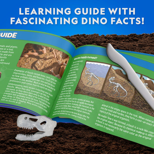 do-choi-nat-geo-bo-giai-phau-t-rex-phat-sang-trong-dem-steam-rtngtrexlab-04