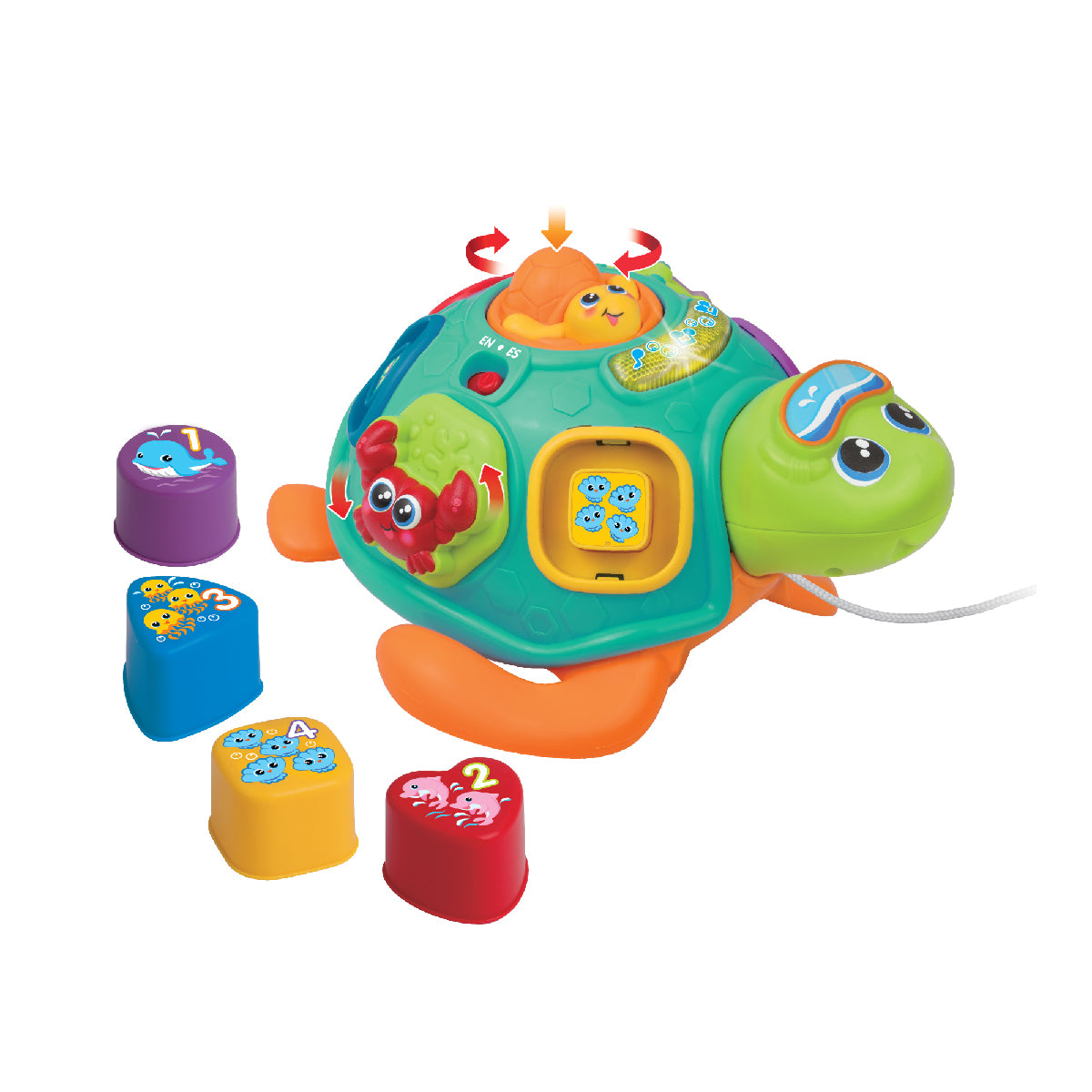 do-choi-rua-con-hoc-hinh-khoi-va-mau-sac-peek-a-boo-240301-04