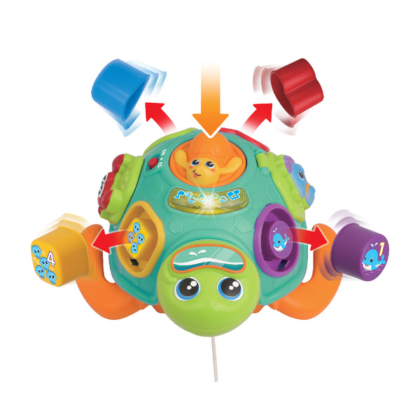 do-choi-rua-con-hoc-hinh-khoi-va-mau-sac-peek-a-boo-240301-06