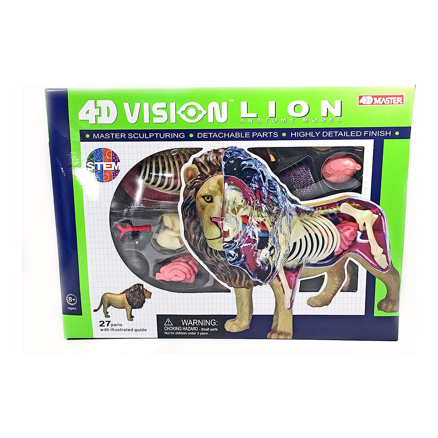 4D Anatomy Model Toy - STEAM Lion 622036