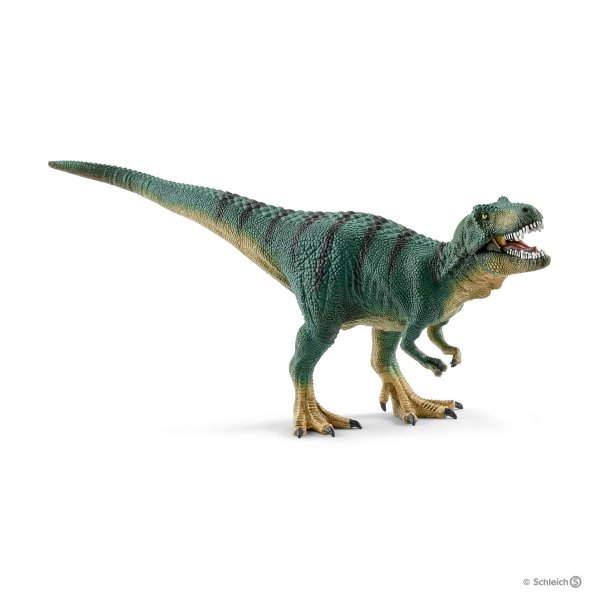 Khủng long Tyrannosaurus nhỏ