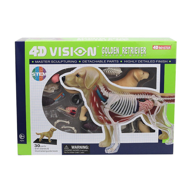 do-choi-mo-hinh-giai-phau-4d-cho-san-long-vang-622007-01