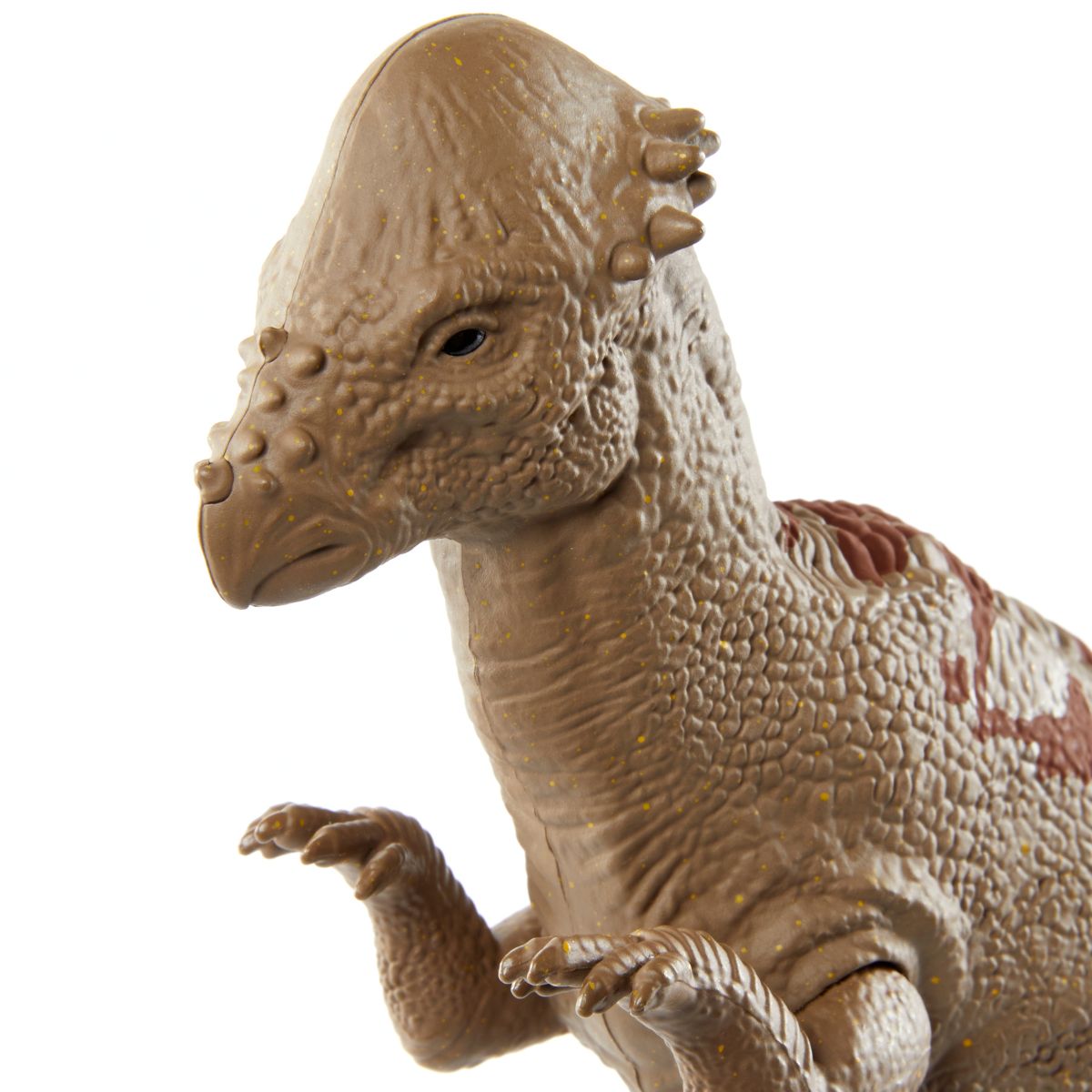 Đồ Chơi Khủng Long Pachycephalosaurus 12 Inch JURASSIC WORLD MATTEL JKT68