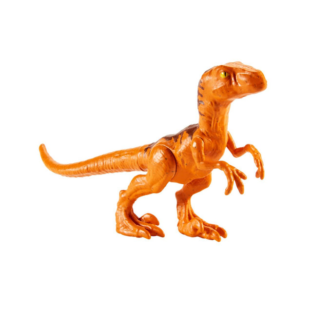 jw-saga-khung-long-raptor-6-inch-jurassic-world-mattel-jgg18-jgg14-03