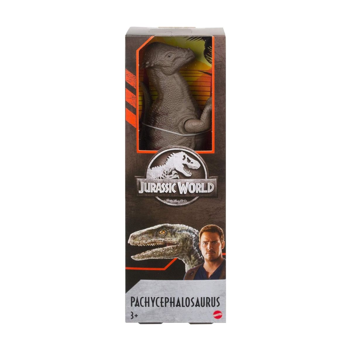 Đồ Chơi Mô Hình Khủng Long Pachycephalosaurus 12 Inch JURASSIC WORLD MATTEL GWT54