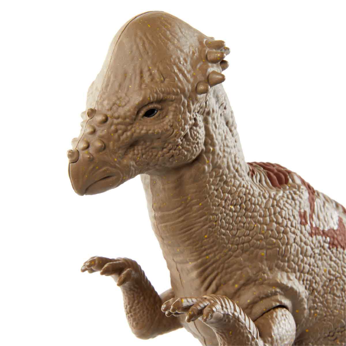 Đồ Chơi Mô Hình Khủng Long Pachycephalosaurus 12 Inch JURASSIC WORLD MATTEL GWT54
