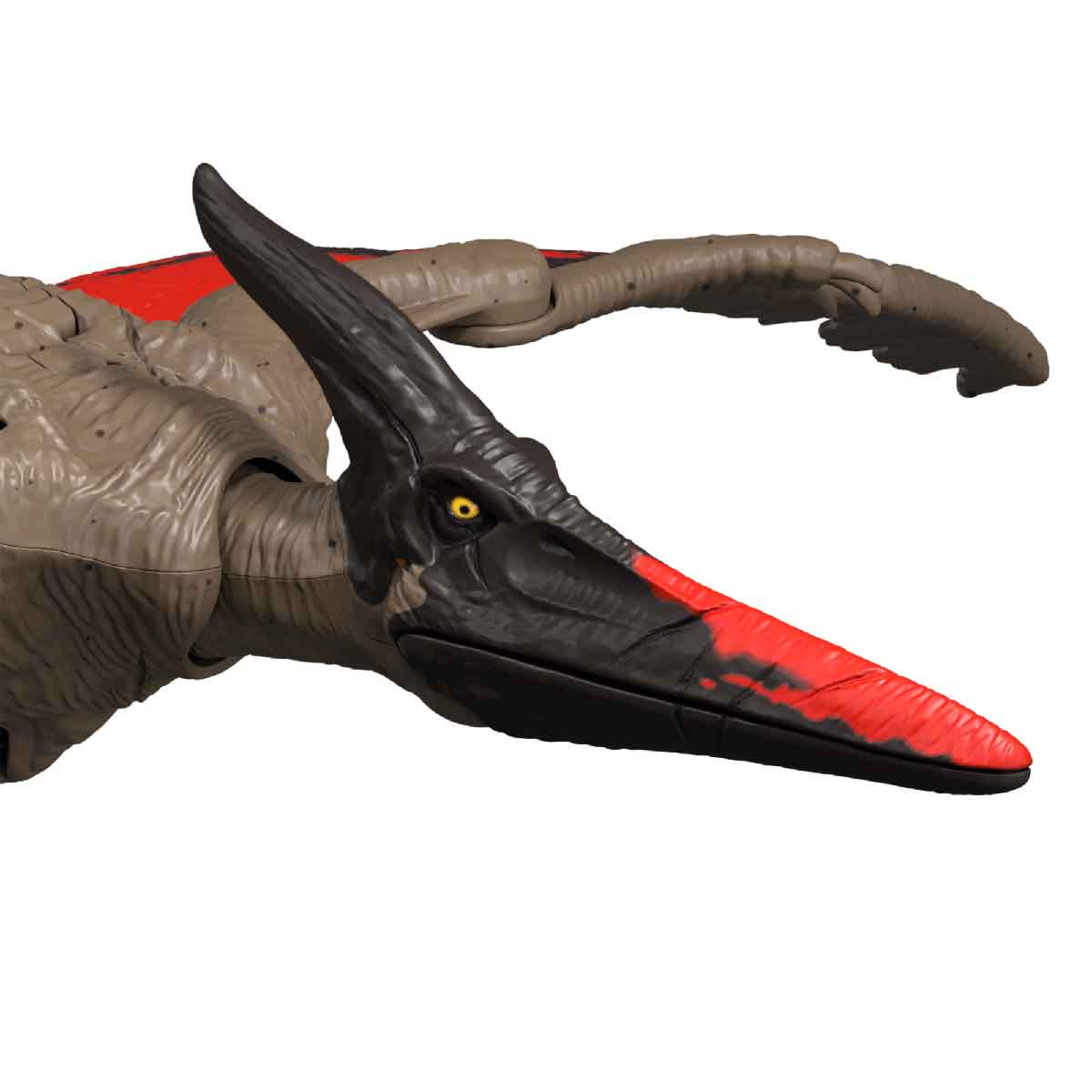 Đồ Chơi Mô Hình Khủng Long Pteranodon Có Âm Thanh JURASSIC WORLD MATTEL HLP14