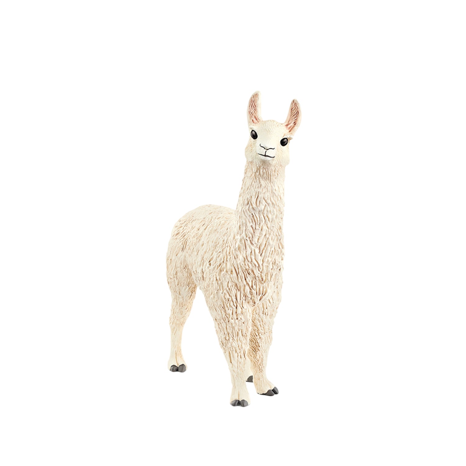 lac-da-khong-buou-llama-13920-01