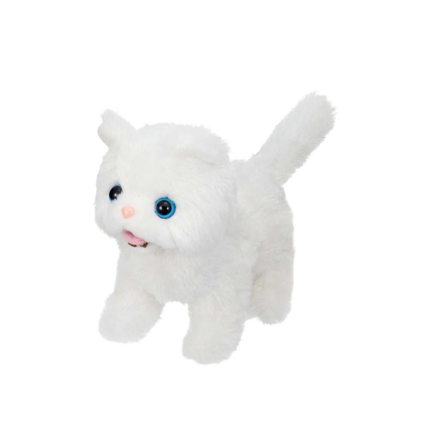 Mèo Con - Baby Persian Iwaya 3303-2vn-Js