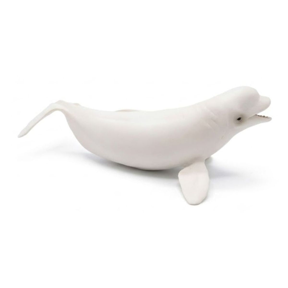 mo-hinh-ca-voi-trang-beluga-collecta-88568-03