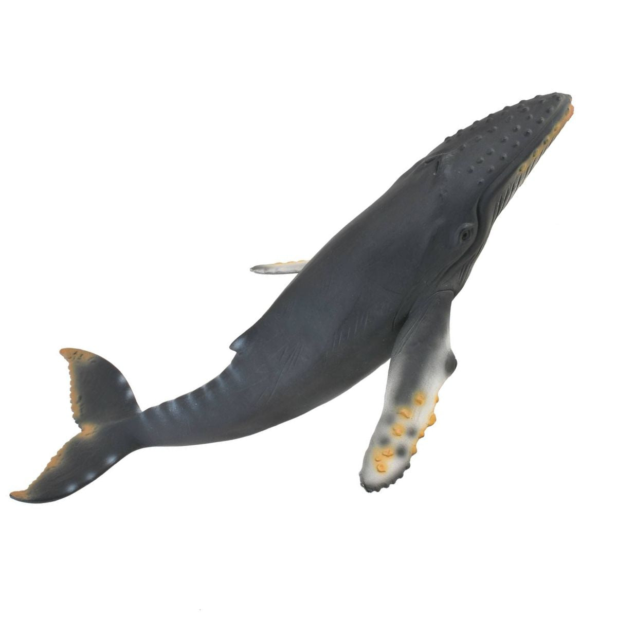 Đồ Chơi Mô Hình Động Vật Cá Voi Lưng Gù COLLECTA 88347