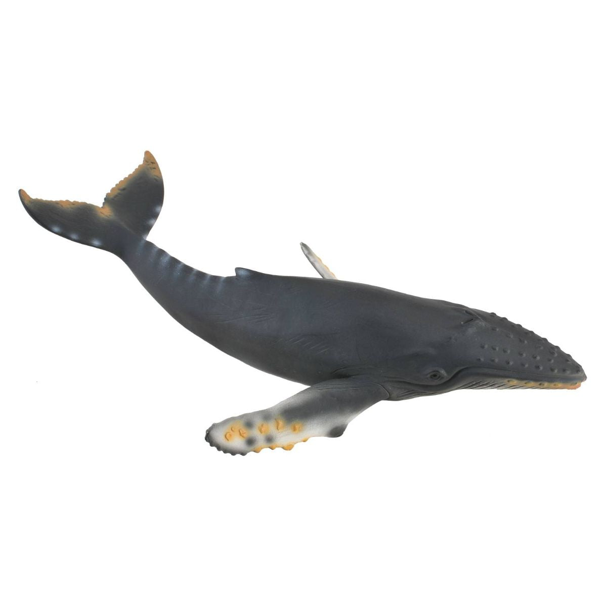 Đồ Chơi Mô Hình Động Vật Cá Voi Lưng Gù COLLECTA 88347