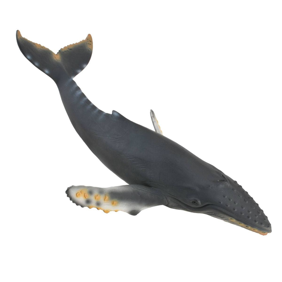 Đồ Chơi Mô Hình Động Vật Cá Voi Lưng Gù COLLECTA 88347