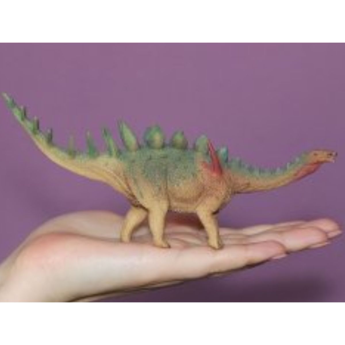mo-hinh-dong-vat-collecta-khung-long-gai-miragaia-collecta-88523-03