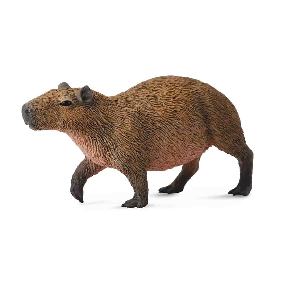 Đồ Chơi Mô Hình Động Vật Hồng Hạc, Capybara, Con Lười COLLECTA 84305