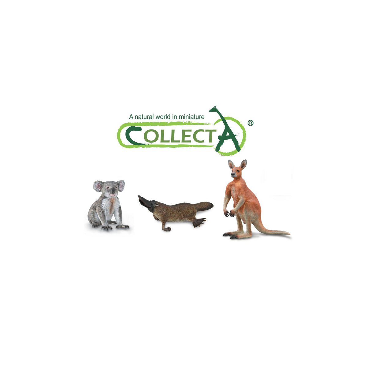 Đồ Chơi Mô Hình Động Vật Kangaroo Đỏ,Thú Mỏ Vịt,Gấu Koala COLLECTA 84306