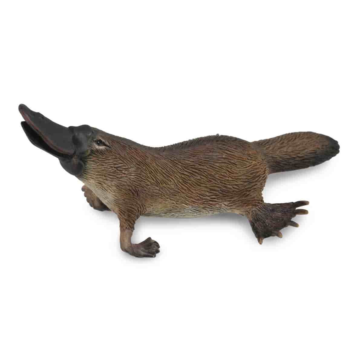 mo-hinh-dong-vat-kangaroo-do-thu-mo-vit-gau-koala-collecta-84306-04