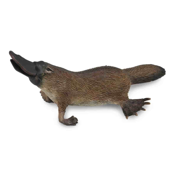 mo-hinh-dong-vat-kangaroo-do-thu-mo-vit-gau-koala-collecta-84306-04