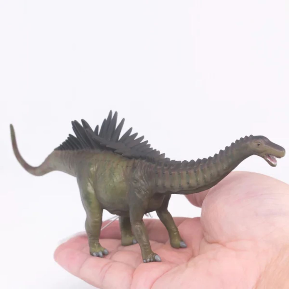 Đồ Chơi Mô Hình Động Vật Khủng Long Agustinia COLLECTA 88061