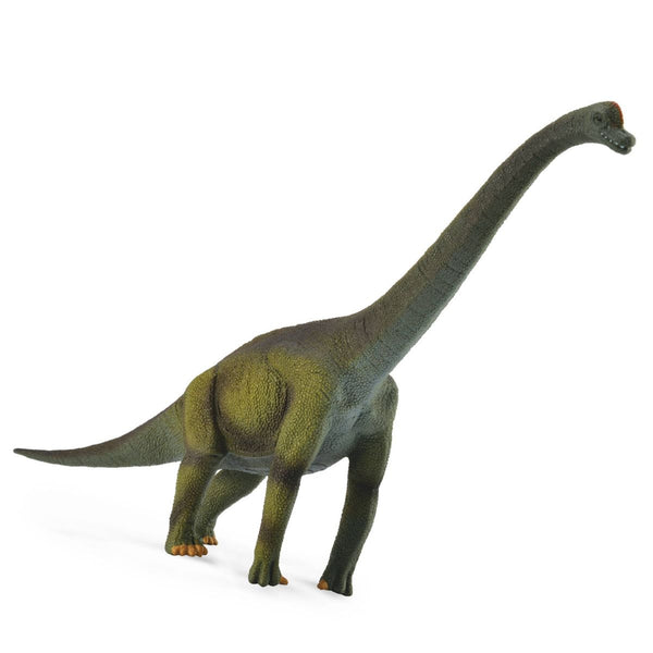 mo-hinh-dong-vat-khung-long-co-dai-brachiosaurus-collecta-88121-02