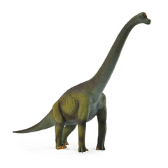 Đồ Chơi Mô Hình Động Vật Khủng Long Cổ Dài Brachiosaurus COLLECTA 88121